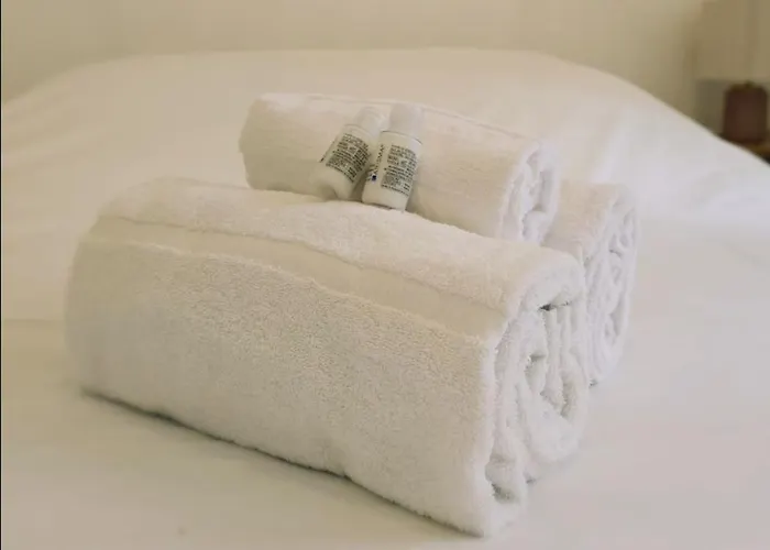 Catalans By Yume * 툴루즈